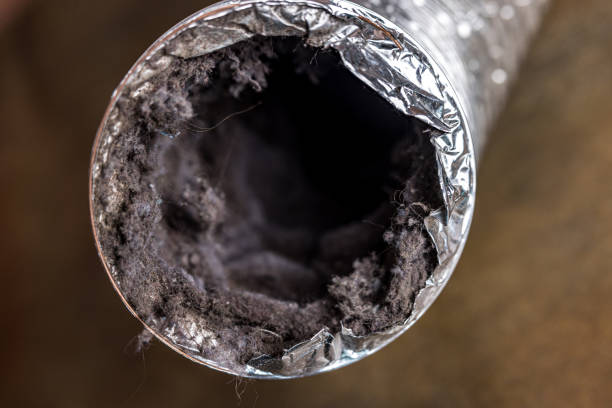 Best Affordable Air Duct Cleaning  in Mechanicsville, VA